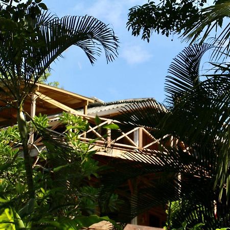 Eden Jungle Lodge Bocas Town Exterior foto