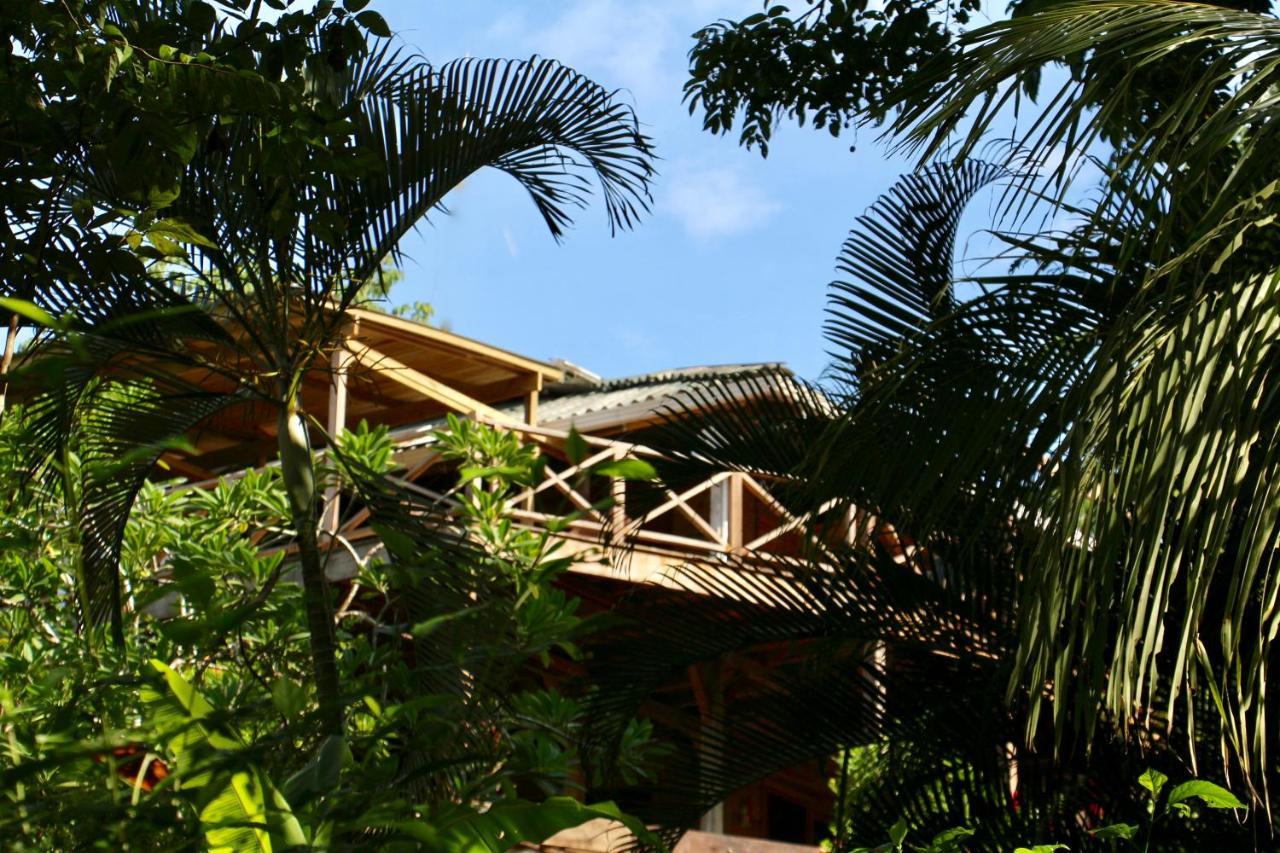 Eden Jungle Lodge Bocas Town Exterior foto